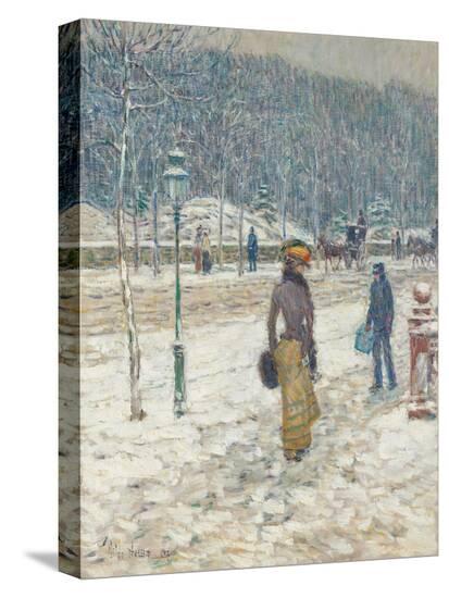 Stretched Canvas Print, , large