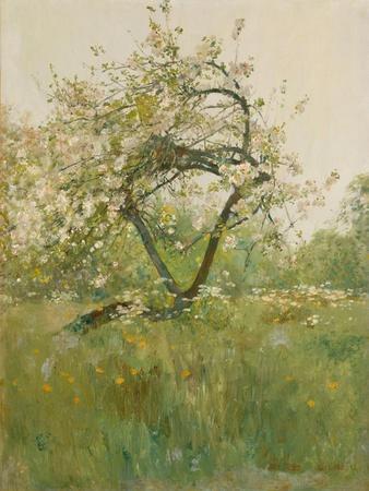 Peach Blossoms, Villiers-le-Bel, 1887-89