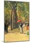 Childe Hassam Fifth Avenue at Washington Square Art Print Poster-null-Mounted Poster