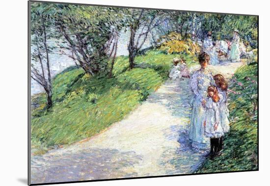 Childe Hassam In Central Park Art Print Poster-null-Mounted Poster