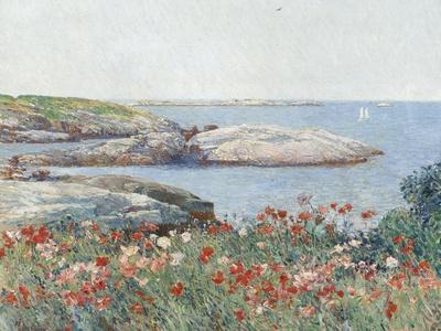 Poppies, Isles of Shoals, America, 1891
