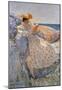 Childe Hassam Summer Sunlight Art Print Poster-null-Mounted Poster