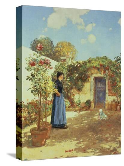Stretched Canvas Print, , large