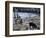 Children and Pigs Foraging on Rubbish Strewn Beach, Dominican Republic, Central America-John Miller-Framed Photographic Print