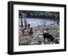 Children and Pigs Foraging on Rubbish Strewn Beach, Dominican Republic, Central America-John Miller-Framed Photographic Print