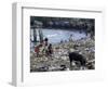 Children and Pigs Foraging on Rubbish Strewn Beach, Dominican Republic, Central America-John Miller-Framed Photographic Print