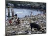 Children and Pigs Foraging on Rubbish Strewn Beach, Dominican Republic, Central America-John Miller-Mounted Photographic Print