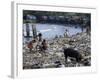 Children and Pigs Foraging on Rubbish Strewn Beach, Dominican Republic, Central America-John Miller-Framed Photographic Print