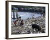 Children and Pigs Foraging on Rubbish Strewn Beach, Dominican Republic, Central America-John Miller-Framed Photographic Print