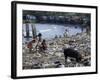 Children and Pigs Foraging on Rubbish Strewn Beach, Dominican Republic, Central America-John Miller-Framed Photographic Print