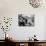 Children at a Puppet Theatre, Paris, 1963-Alfred Eisenstaedt-Mounted Photographic Print displayed on a wall