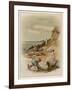 Children at the Seaside, Fishing in a Pool on the Beach-null-Framed Art Print