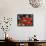 Children Attend a Function by Indian Spiritual Leader Sathya Sai Baba in New Delhi-null-Framed Stretched Canvas displayed on a wall