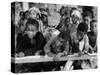 Children Attending School at the Elat Mission-null-Stretched Canvas