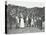 Children Being Weighed in the Garden, Montpelier House Open Air School, London, 1908-null-Stretched Canvas