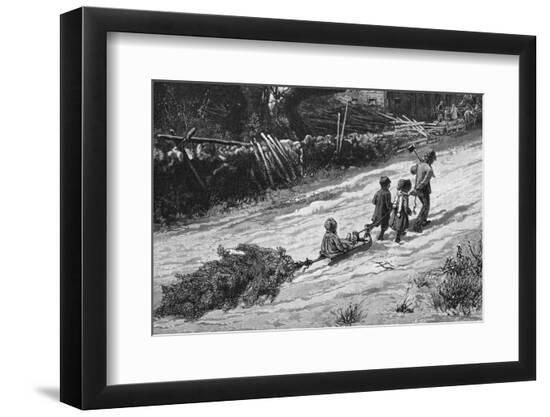 Photographic Print, , large