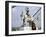 Children by Chorten, Nepal-Michael Brown-Framed Photographic Print