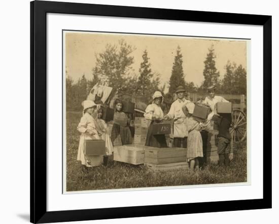 Children Carrying their Pecks of Cranberries to the Bushel Man at Theodore Budd's Bog-Lewis Wickes Hine-Framed Photographic Print