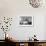 Children Chorus, Aldeburgh Festival, Suffolk, England, June 1959-Mark Kauffman-Framed Photographic Print displayed on a wall