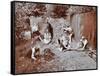 Children Dressed as Prehistoric Cave Dwellers, Birley House Open Air School, London, 1908-null-Framed Stretched Canvas