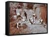 Children Dressed as Prehistoric Cave Dwellers, Birley House Open Air School, London, 1908-null-Framed Stretched Canvas