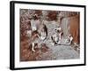 Children Dressed as Prehistoric Cave Dwellers, Birley House Open Air School, London, 1908-null-Framed Photographic Print