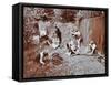 Children Dressed as Prehistoric Cave Dwellers, Birley House Open Air School, London, 1908-null-Framed Stretched Canvas