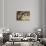 Children Drinking Milk at Dinner Table-William P. Gottlieb-Photographic Print displayed on a wall