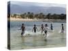 Children Enjoy a Boat Race in a Lagoon at Qalansiah, an Important Fishing Village in the Northwest-Nigel Pavitt-Stretched Canvas