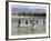 Children Enjoy a Boat Race in a Lagoon at Qalansiah, an Important Fishing Village in the Northwest-Nigel Pavitt-Framed Photographic Print