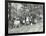 Children Feeding Bees for the Winter, Shrewsbury House Open Air School, London, 1909-null-Framed Photographic Print