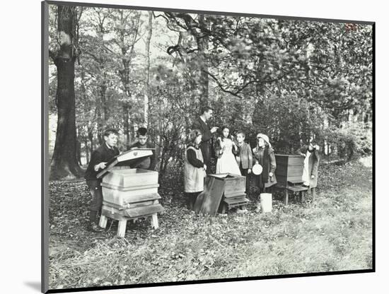 Children Feeding Bees for the Winter, Shrewsbury House Open Air School, London, 1909-null-Mounted Photographic Print