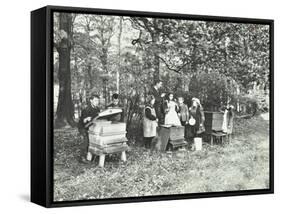 Children Feeding Bees for the Winter, Shrewsbury House Open Air School, London, 1909-null-Framed Stretched Canvas