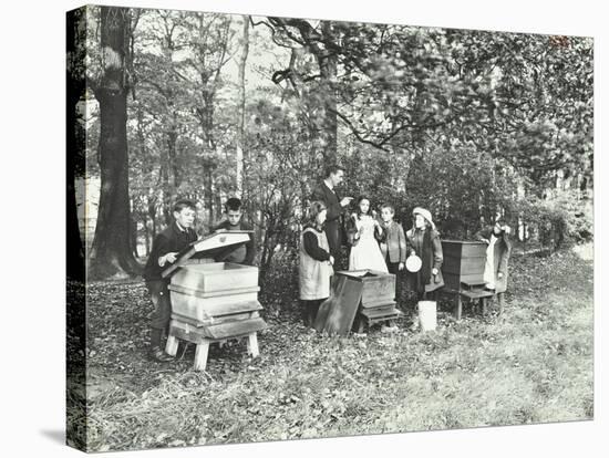 Children Feeding Bees for the Winter, Shrewsbury House Open Air School, London, 1909-null-Stretched Canvas