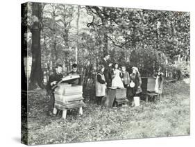 Children Feeding Bees for the Winter, Shrewsbury House Open Air School, London, 1909-null-Stretched Canvas