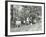 Children Feeding Bees for the Winter, Shrewsbury House Open Air School, London, 1909-null-Framed Photographic Print