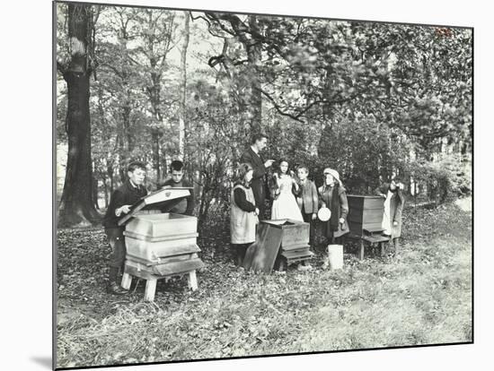 Children Feeding Bees for the Winter, Shrewsbury House Open Air School, London, 1909-null-Mounted Photographic Print