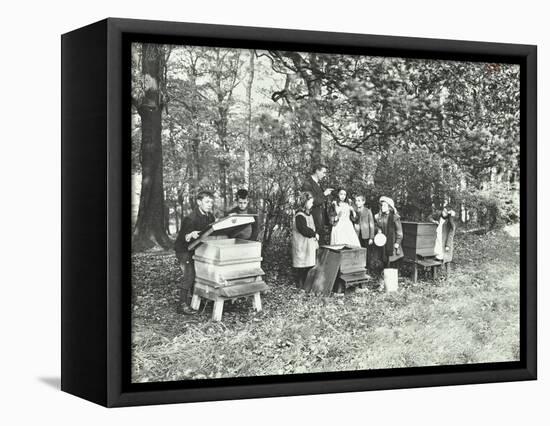 Children Feeding Bees for the Winter, Shrewsbury House Open Air School, London, 1909-null-Framed Stretched Canvas
