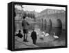 Children Feeding Swans at Bradford on Avon, October 1943-null-Framed Stretched Canvas