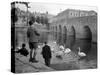 Children Feeding Swans at Bradford on Avon, October 1943-null-Stretched Canvas