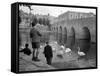 Children Feeding Swans at Bradford on Avon, October 1943-null-Framed Stretched Canvas