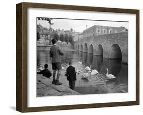 Children Feeding Swans at Bradford on Avon, October 1943-null-Framed Premium Photographic Print