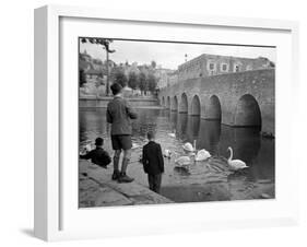 Children Feeding Swans at Bradford on Avon, October 1943-null-Framed Premium Photographic Print