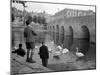 Children Feeding Swans at Bradford on Avon, October 1943-null-Mounted Premium Photographic Print