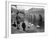 Children Feeding Swans at Bradford on Avon, October 1943-null-Framed Photographic Print