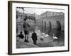 Children Feeding Swans at Bradford on Avon, October 1943-null-Framed Photographic Print