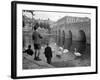 Children Feeding Swans at Bradford on Avon, October 1943-null-Framed Photographic Print