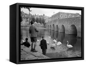 Children Feeding Swans at Bradford on Avon, October 1943-null-Framed Stretched Canvas