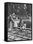 Children Feeding the Sparrows in Hyde Park, London, 1926-1927-null-Framed Stretched Canvas