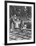 Children Feeding the Sparrows in Hyde Park, London, 1926-1927-null-Framed Giclee Print